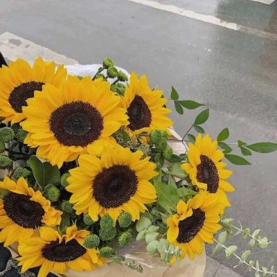 江南综合体育app下载安装截图