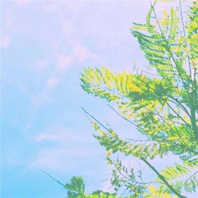 熊猫娱乐app下载手机版